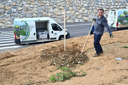 Ob dnevu zemlje sadili lipe (5)